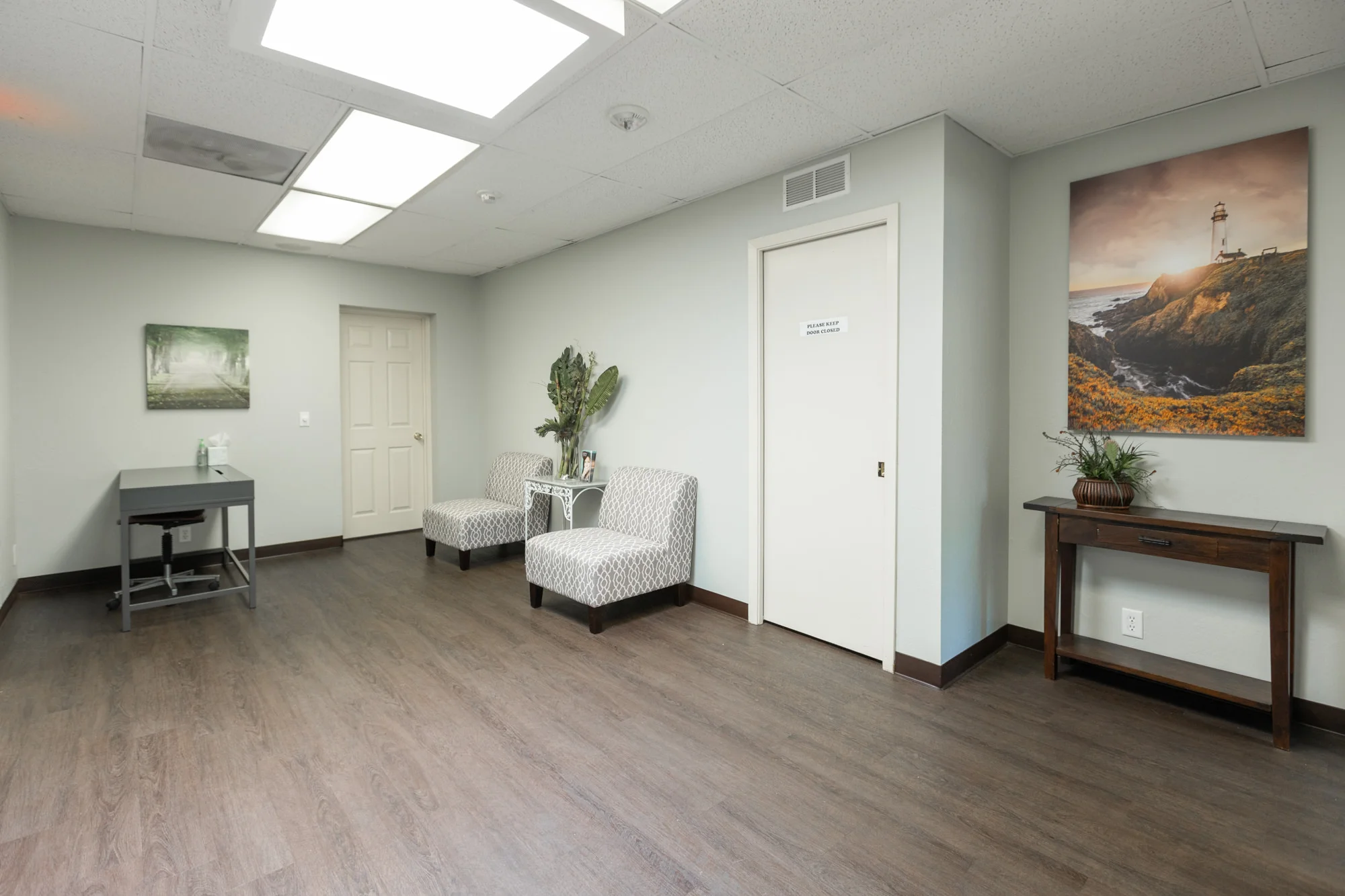 A spacious and well-lit dental office waiting area decorated with a serene theme. The room has light gray walls and wood laminate flooring, accented with large canvas landscape art. Two patterned armchairs and a sleek desk with a hand sanitizer dispenser provide a comfortable waiting space. A wooden console table adorned with a potted plant adds a touch of warmth.